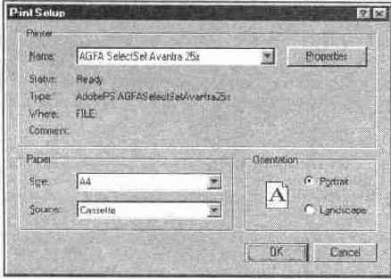 Диалоговое окно Print Setup